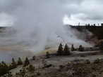 yellowstone